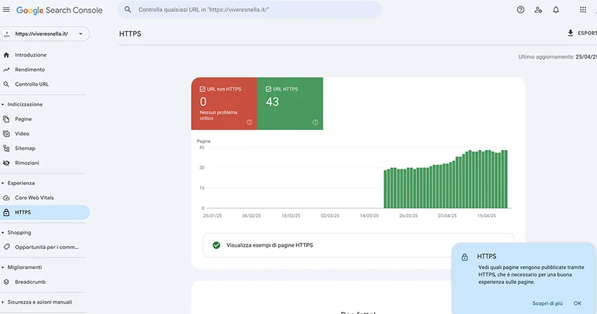 screen-monitoraggio-con-google-search-console